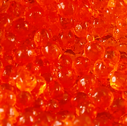 Salmon Ovary Peptide